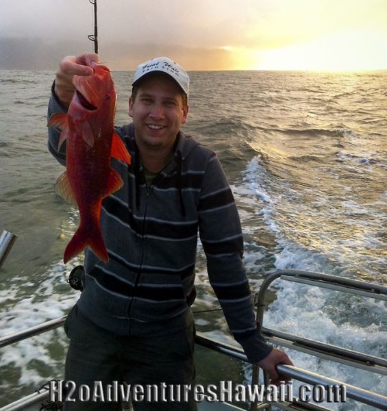 1-28-2013
Keywords: snapper,weke ulu,hawaii,north shore,charter,boat,fishing,trip,fish,oahu,sportfishing,reef,bottom