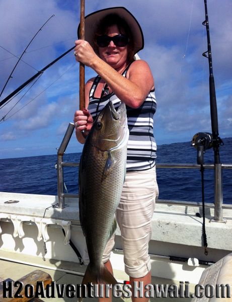 1-1-2013
Keywords: snapper,uku,bottom,ahi,tuna,yellowfin,mahi mahi,dolphin,fish,charter,fishing,oahu,north shore,hawaii,sportfishing