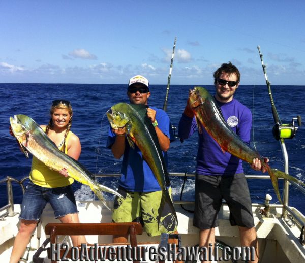 2-26-2013
Keywords: mahi mahi,dorado,dolfin,hawaii,north shore,charter,boat,fishing,trip,fish,oahu,sportfishing,deep sea,trolling