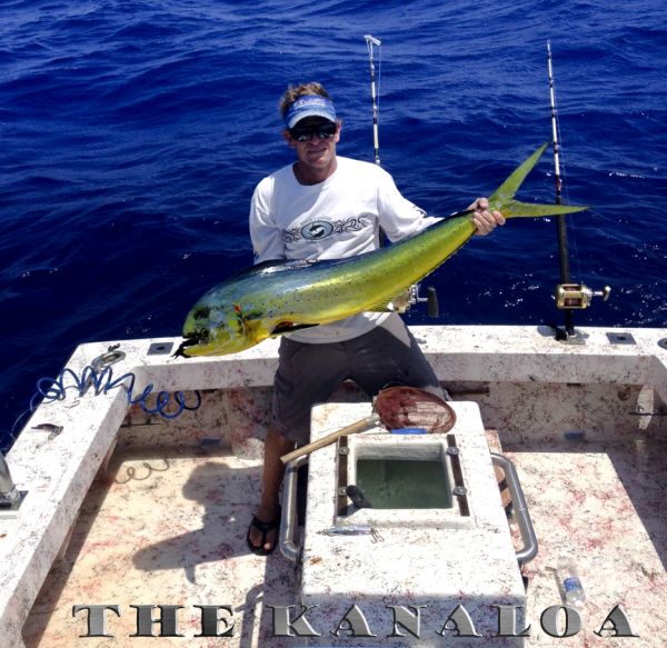4-24-2013
Keywords: mahi mahi,dolphin,fish,charter,fishing,oahu,north shore,hawaii,sportfishing