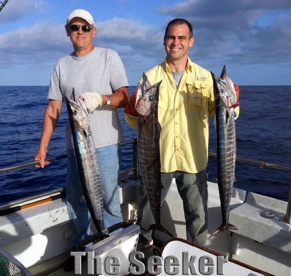 5-7-2013
Keywords: mahi mahi,dolphin,fish,charter,fishing,oahu,north shore,hawaii,sportfishing