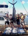 Deep_Sea_10-12-14_Marlin_Tuna_charter_fishing_chupu_hawaii~0.jpg