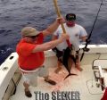 Seeker_3-11-15_Tuna_1_fishing_chupu_hawaii~0.jpg