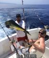 Seeker_3-17-15_Mahi_Mahi_chupu_fishing_hawaii~0.jpg