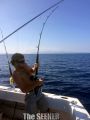 Seeker_3-17-15_Mahi_rod_chupu_fishing_hawaii~0.jpg