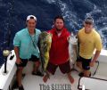 Seeker_3-19-15_Mahi_Tuna_fishing_chupu_charters_hawaii~0.jpg