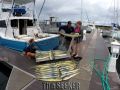 Seeker_3-3-15_Mahi_Mahi_chupu_sport_fishing_charters_hawaii_dock_copy.jpg