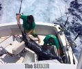 Seeker_4-2-15_Blue_Marlin_Mahi_Mahi_fishing_charter_Chupu_Hawaii_crew~0.jpg
