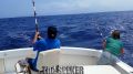 Seeker_4-23-15_Double_Blue_Marlins_rods_Chupu_Sportfishing_H2o_Adventures_Hawaii.jpg