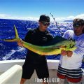 Seeker_5-30-15_Mahi_Mahi_fishing_charter_chupu_hawaii_copy~0.jpg