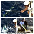 charter_3-5-13_mahi_mahi~0.JPG